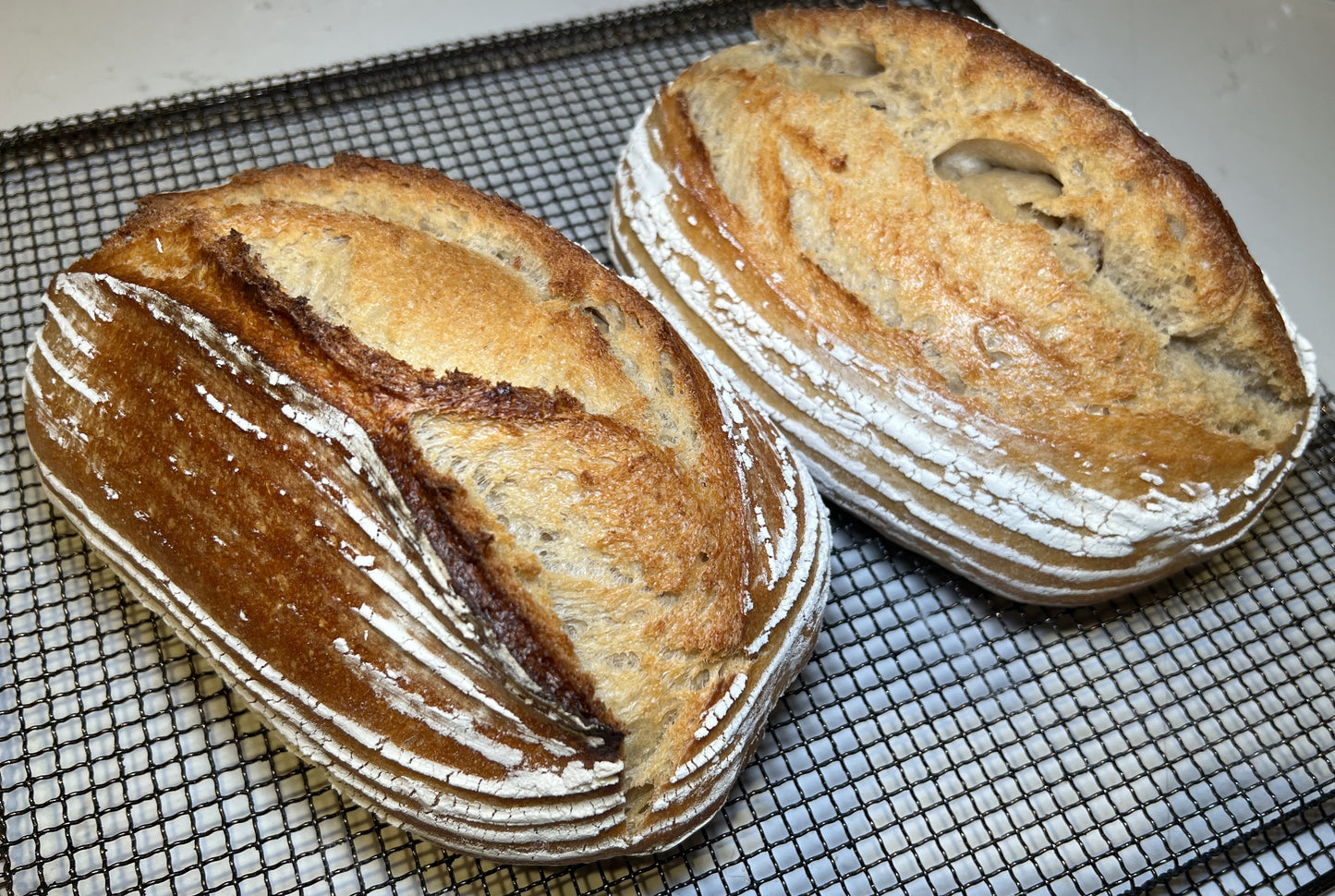 Sourdough Breads