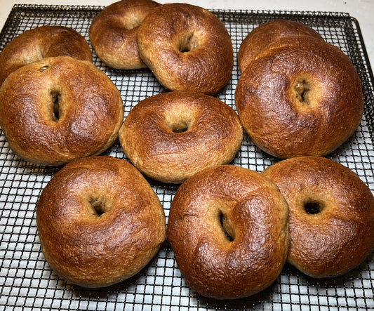 Sourdough Bagels