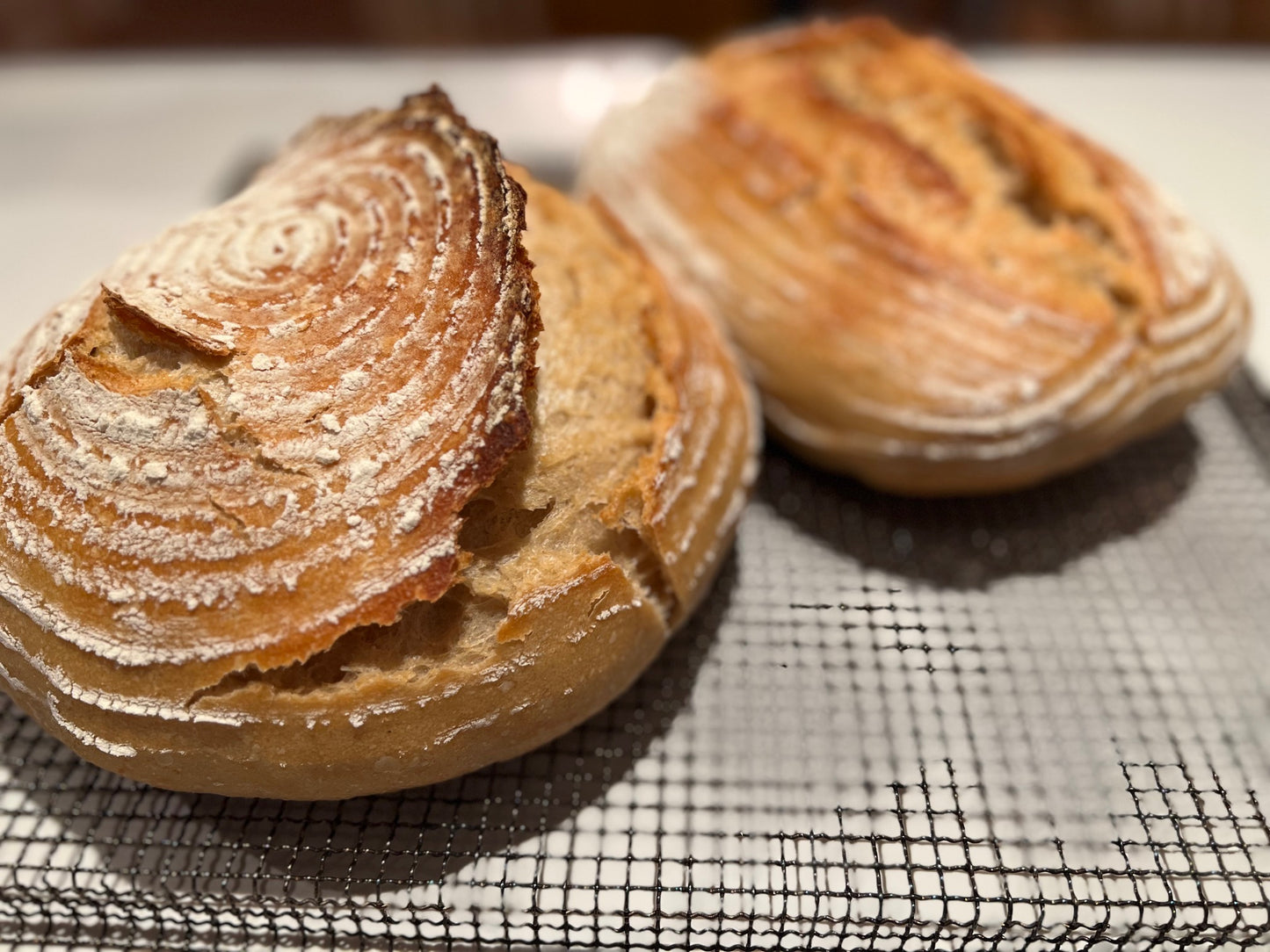 Sourdough Breads