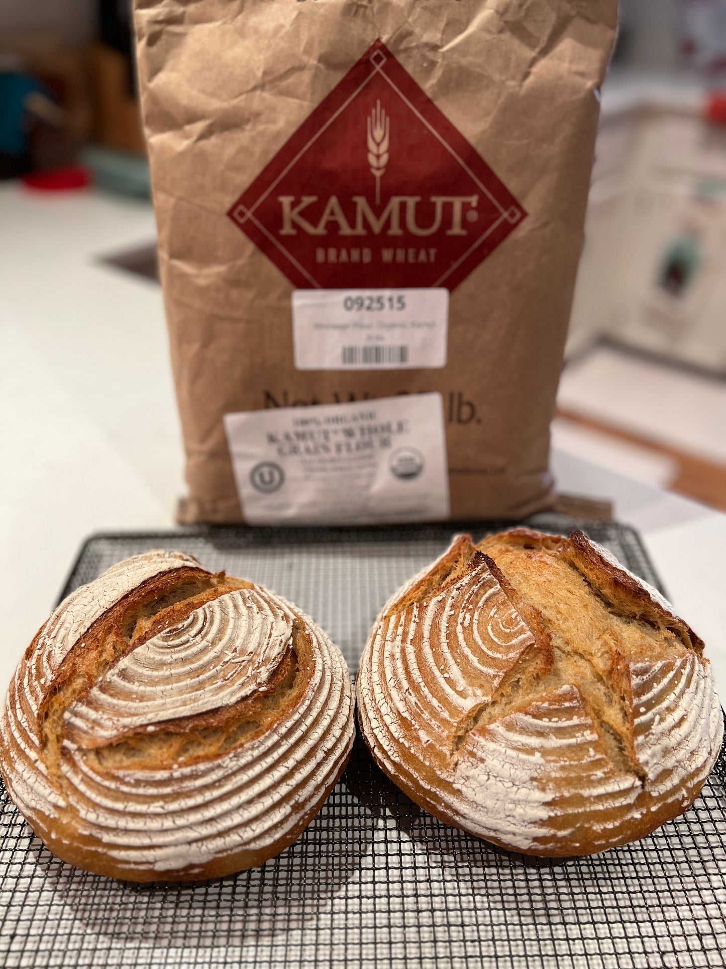 Sourdough Breads