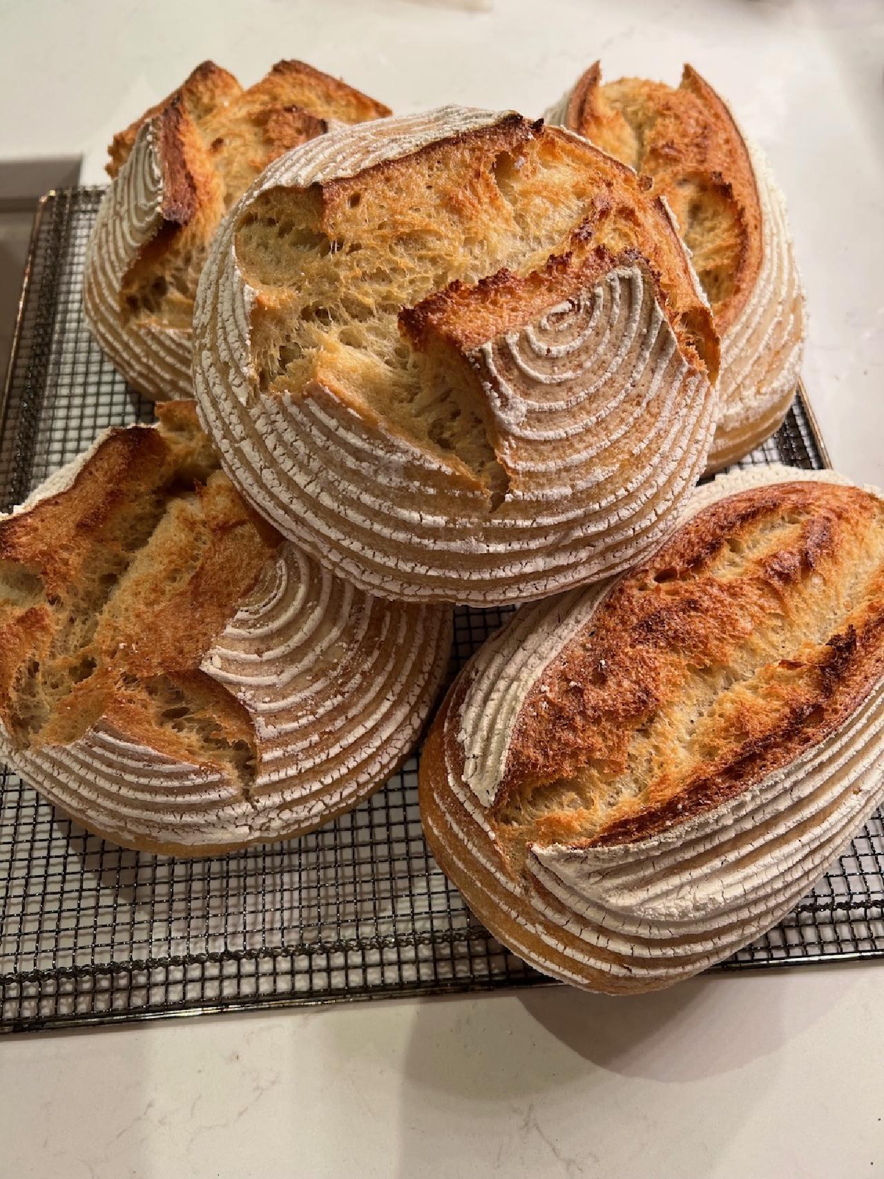 Sourdough Breads